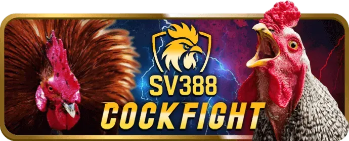 Hoàn trả cao hơn cs88
